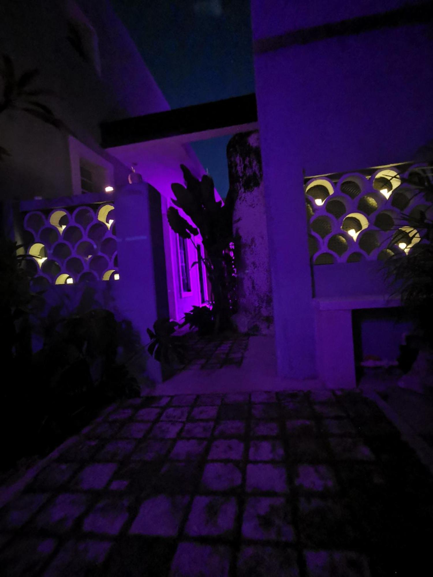Villa Chichipato Casa Boutique Mérida Esterno foto