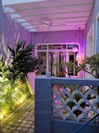 Villa Chichipato Casa Boutique Mérida Esterno foto
