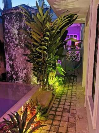 Villa Chichipato Casa Boutique Mérida Esterno foto