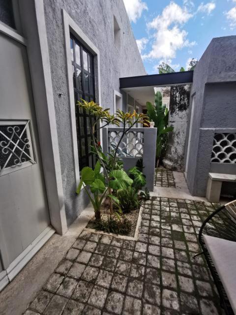 Villa Chichipato Casa Boutique Mérida Esterno foto