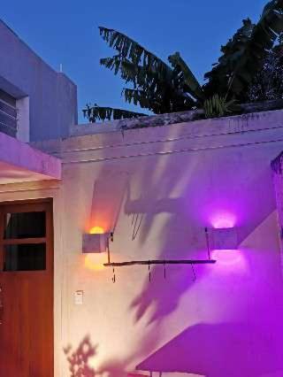 Villa Chichipato Casa Boutique Mérida Esterno foto