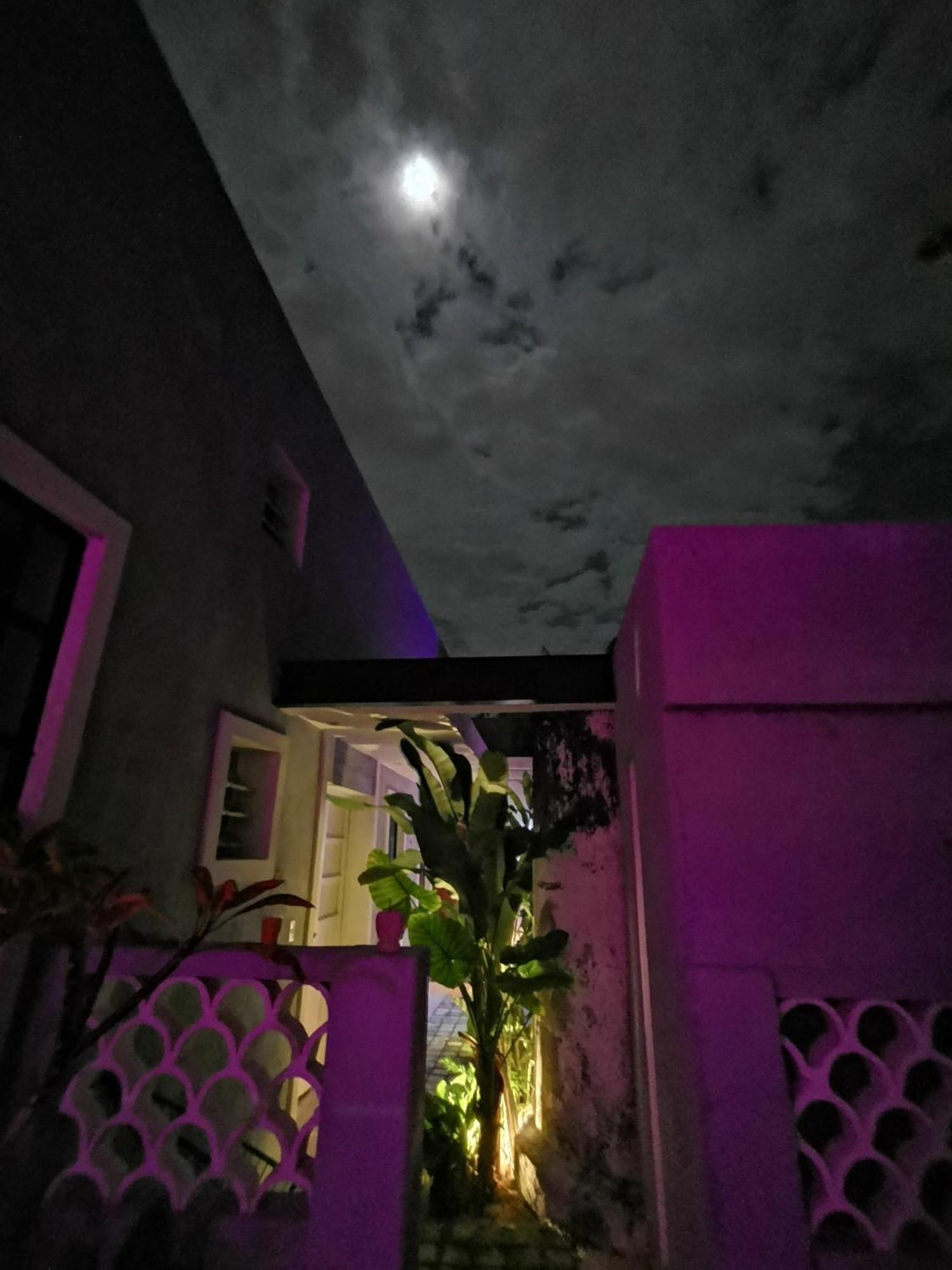 Villa Chichipato Casa Boutique Mérida Esterno foto