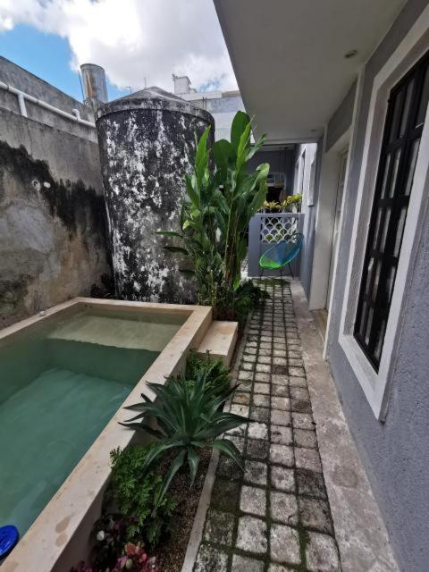 Villa Chichipato Casa Boutique Mérida Esterno foto